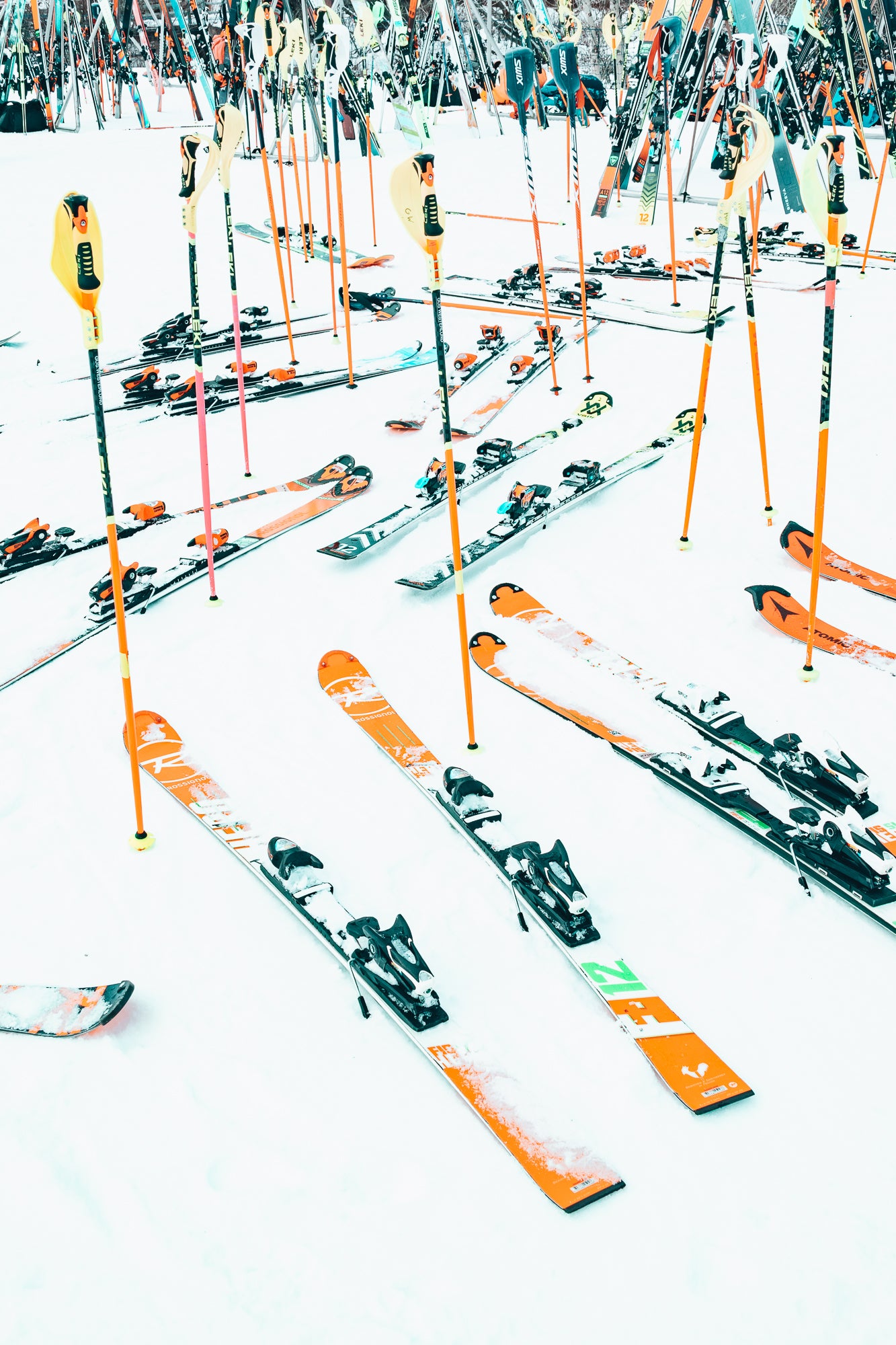 Racing Skis