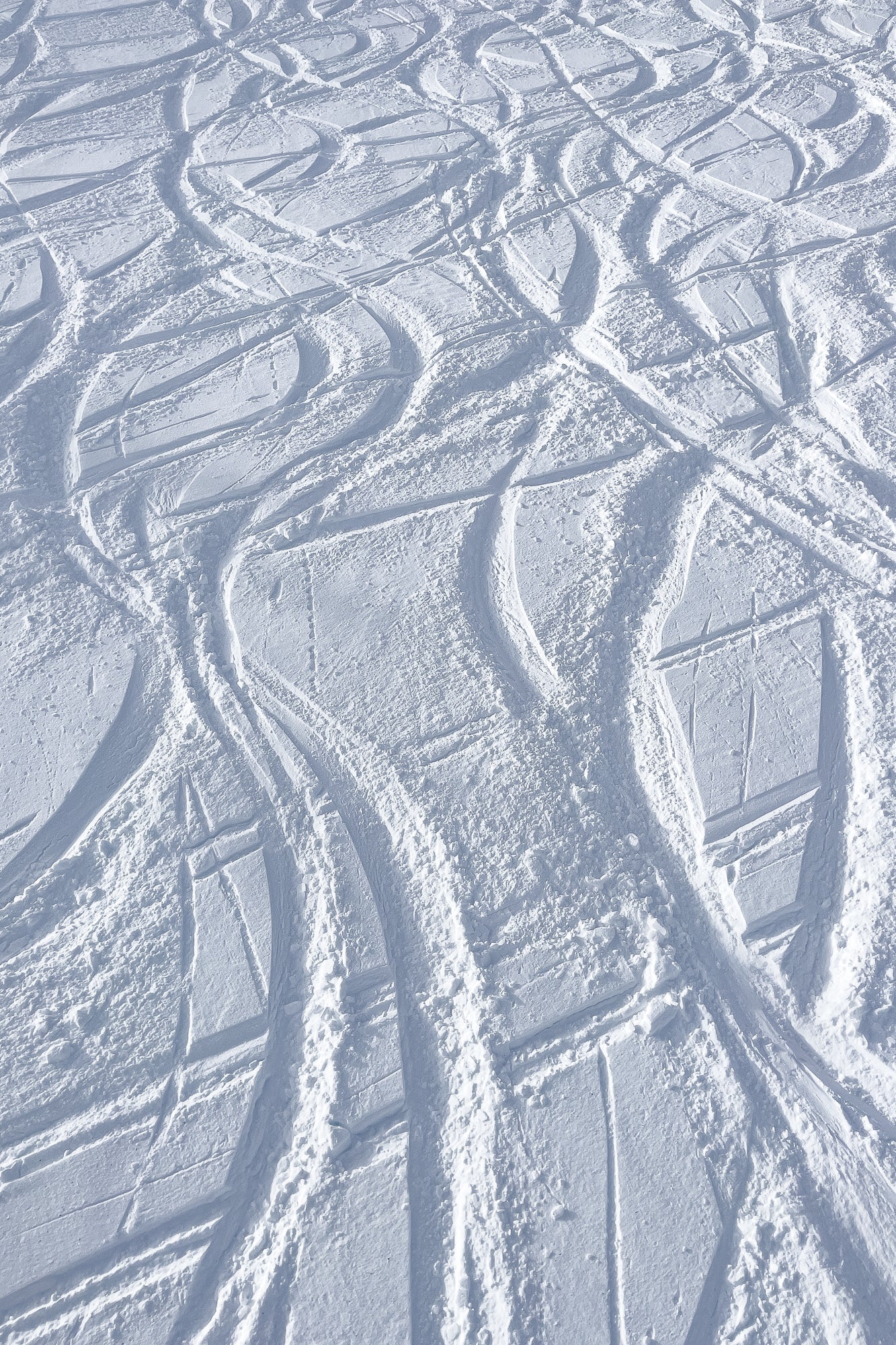 Ski Tracks