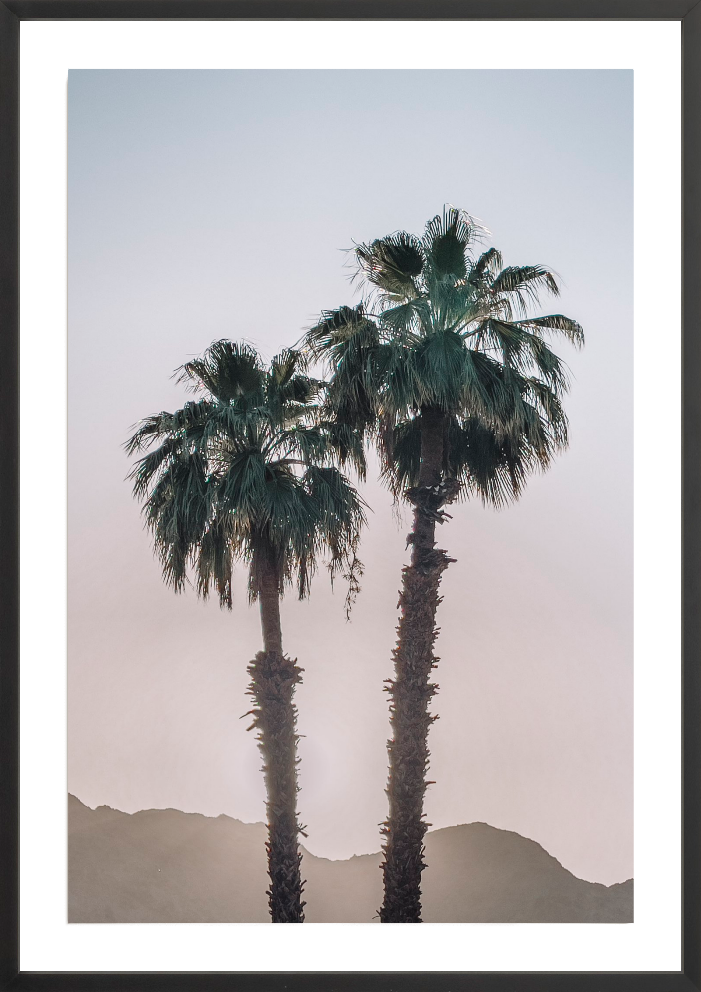 La Quinta Palms