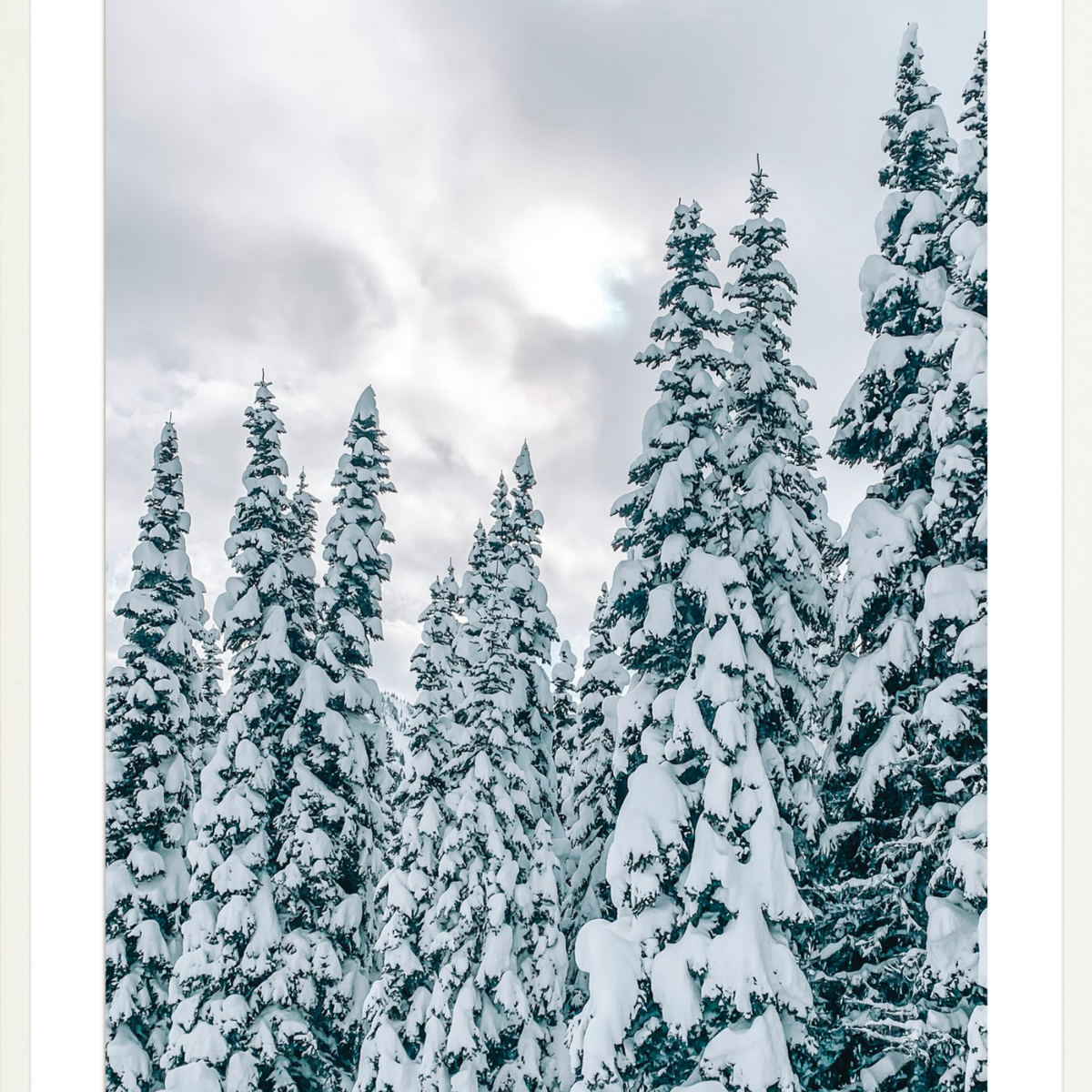 Snowy trees-2  Ski Town Charm & Botanical Print