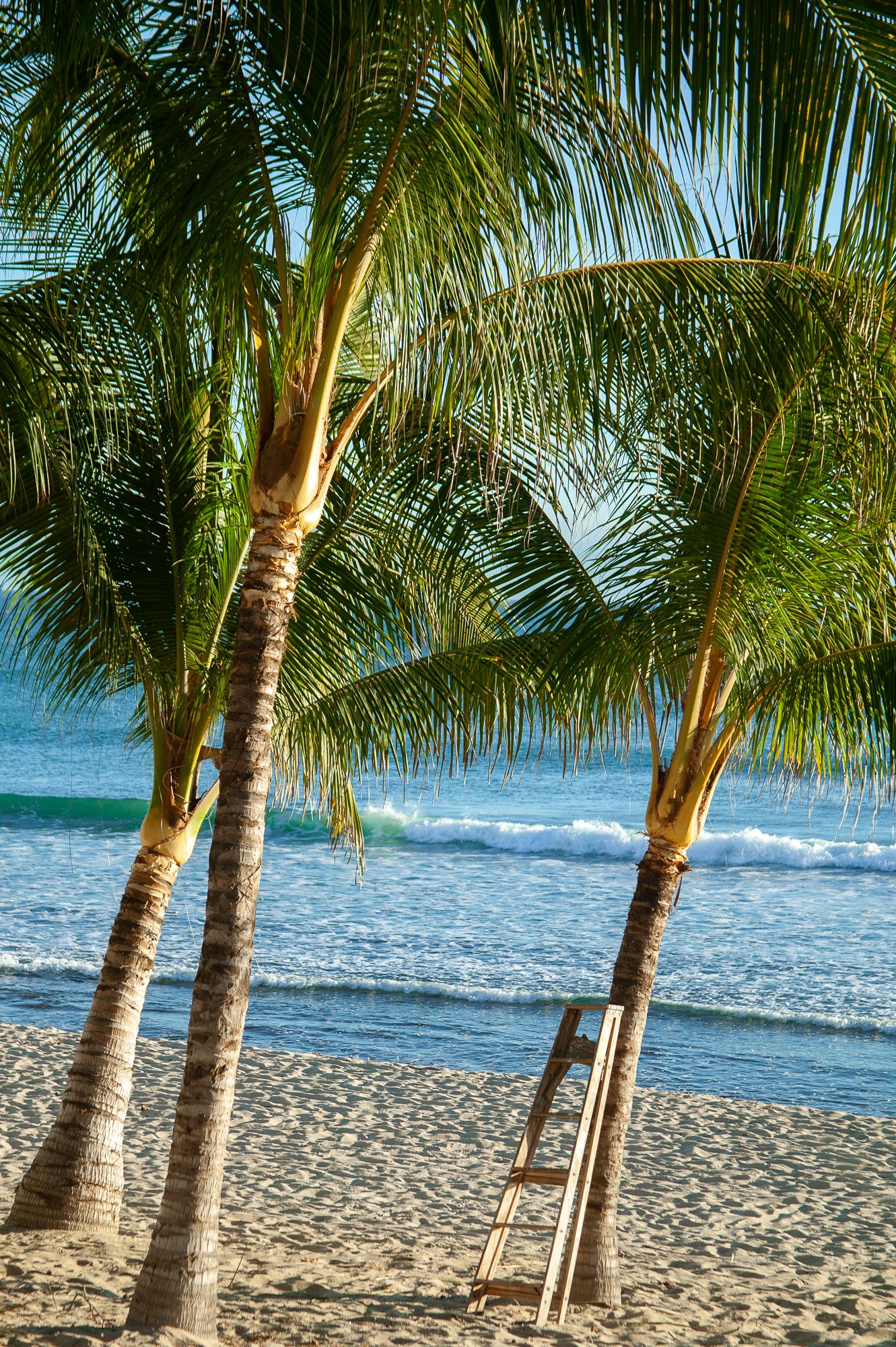 Barefoot on the beach, Jules Frazier Fine Art Photograph