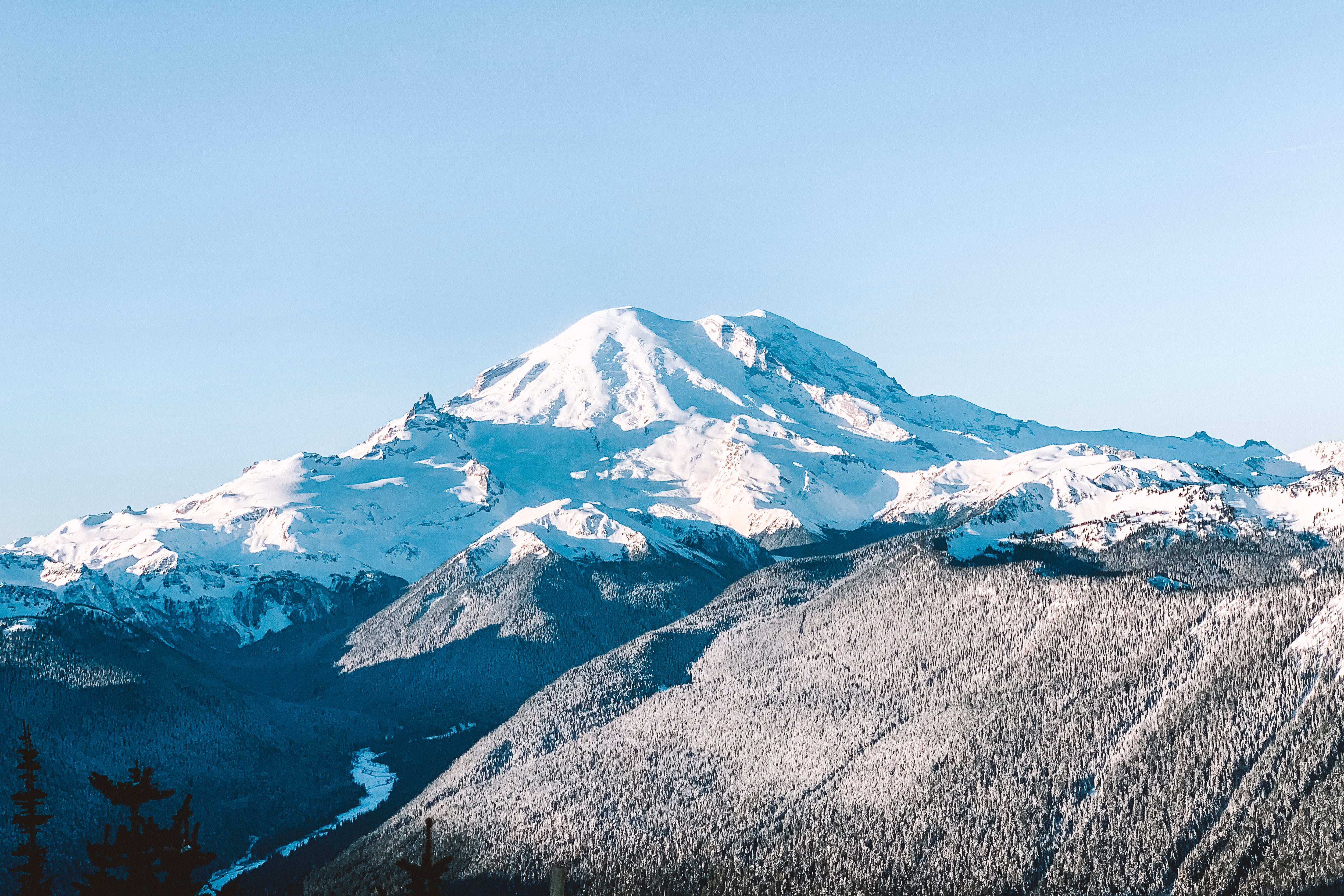 Majestic Mount Rainier